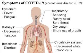 Symptomen Corona